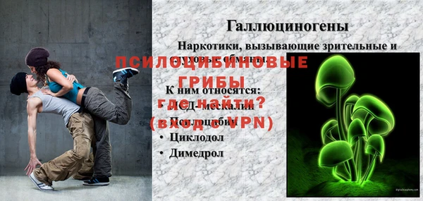 ECSTASY Белокуриха