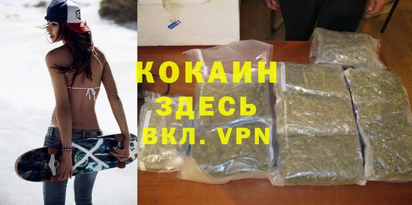 гидра Коряжма