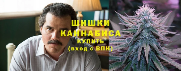 ECSTASY Белокуриха